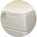Tranquil Plush Mattress with Box Spring Foundation