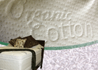 Organic Cotton Mattress