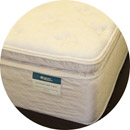 Stafford Pillow Top Mattress