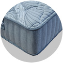 back supporter plush firm mattress sale